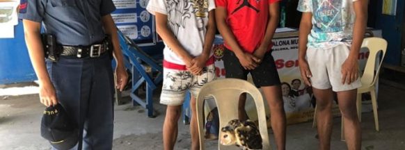 Teens rescue injured  owl in EB Magalona