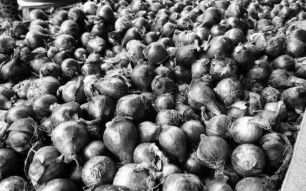 The country is now experiencing a shortage in the supply of both red and white onions, with retail prices reaching as high as P300 per kilo. (PNA file photo)