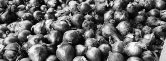 Local farmers urged to control onion production