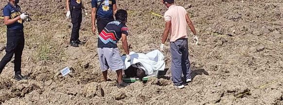 Tractor driver found dead in sugarcane field 
