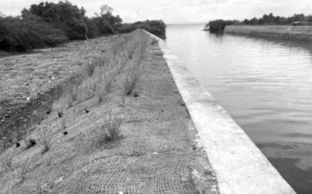 The P50-million flood control project was constructed on both sides of the Andoon River along the Bacolod North Road in Negros Occidental’s San Carlos City. The structure would reduce the community’s vulnerability to flooding by preventing overflow when the water level rises. (DPWH-6 photo)