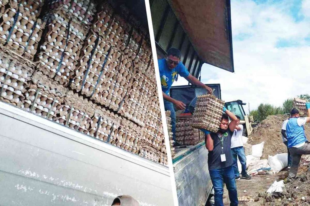 A P1.4 million worth of eggs were intercepted and disposed of in Bacolod City on February 5. The disposal sparked a backlash from local residents and netizens, but Negros Occidental Governor Eugenio Jose Lacson says they are very serious about preventing the entry of bird flu to protect the province’s P8 billion poultry industry. (Bacolod PIO photos)                         