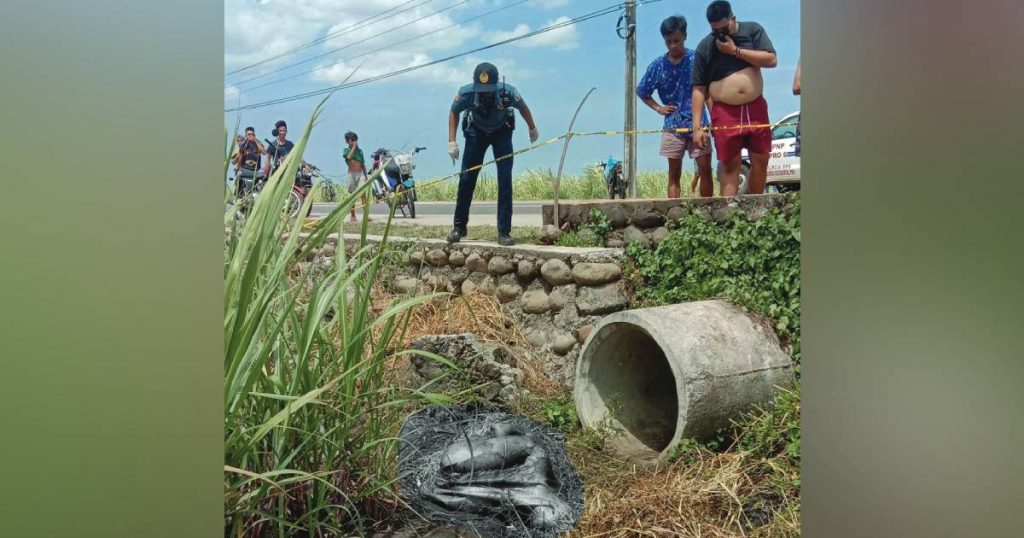 Human remains were found inside a sack at Barangay Damsite in Negros Occidental’s Murcia town yesterday morning. Story on page 2. (Brigada News FM 103.1 Bacolod photo)