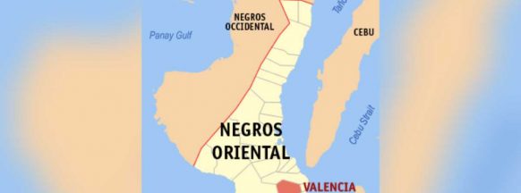 Valencia town intensifies promotion of NegOr products