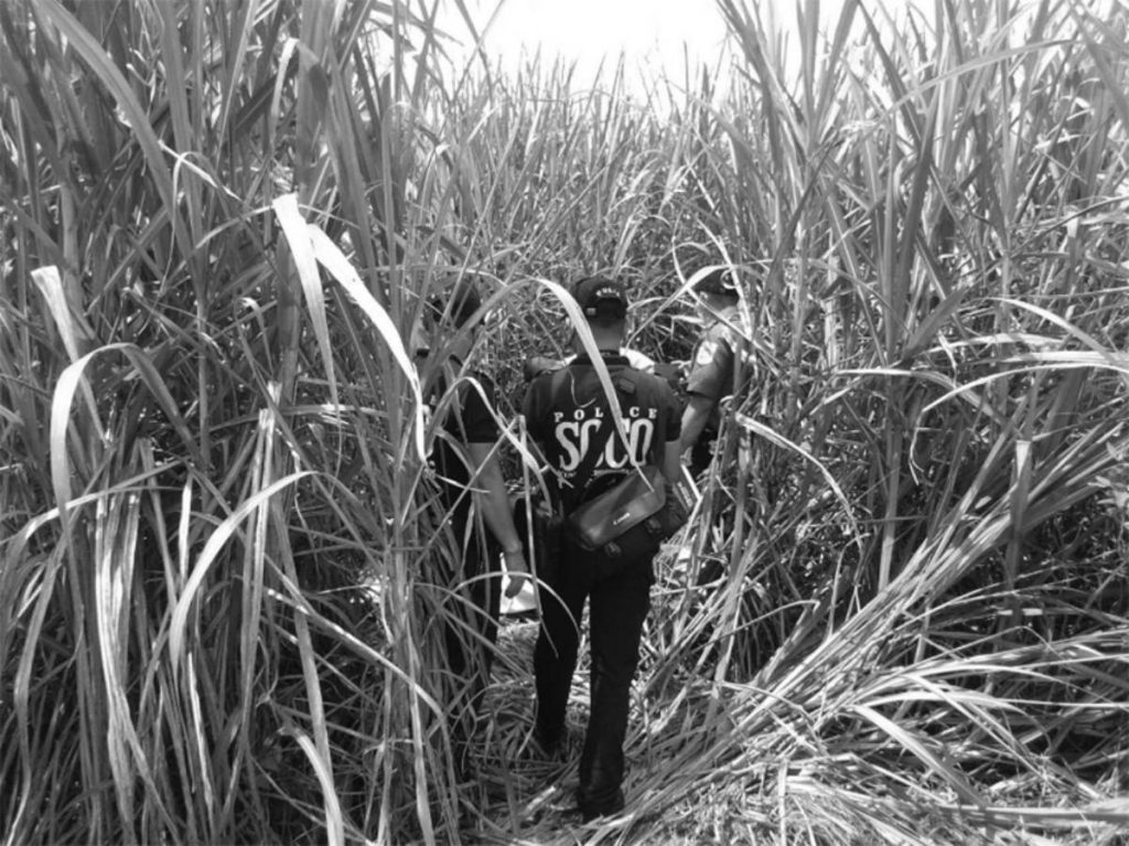 Authorities have yet to identify the remains recovered from a roadside sugarcane field in Negros Occidental’s Bago City. (Contributed photo)