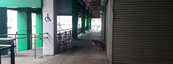 ‘Recovered bullets at NegOcc Food Terminal not a threat’