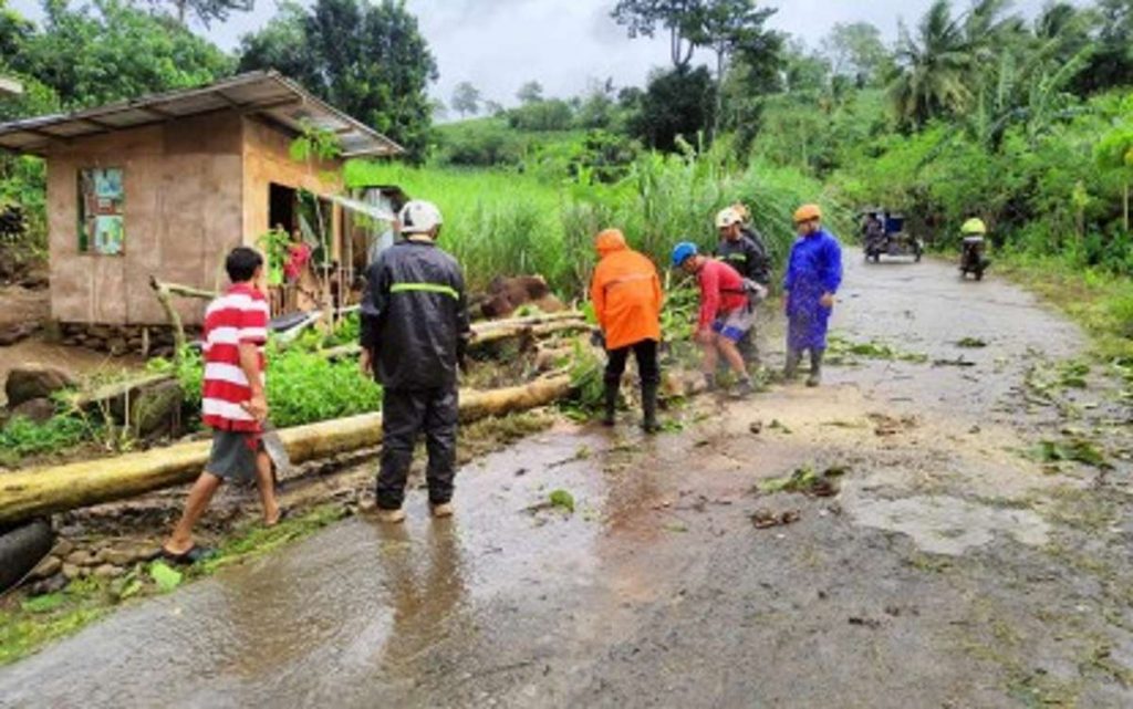 Members of the Local Disaster Risk Reduction and Management Office of Negros Oriental’s Canlaon City cleared a road yesterday, July 25, 2023, after it was littered with trees and debris following strong winds and heavy rains. The stormy weather in Negros Oriental the past several days has been caused by the southwestern monsoon, enhanced by Super Typhoon “Egay.” (Photo courtesy of Canlaon City LDRRMO Facebook)