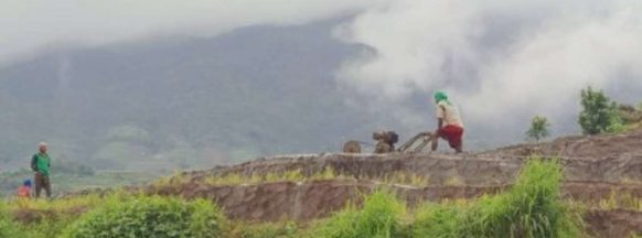 DA interventions, farm inputs in place vs. El Niño