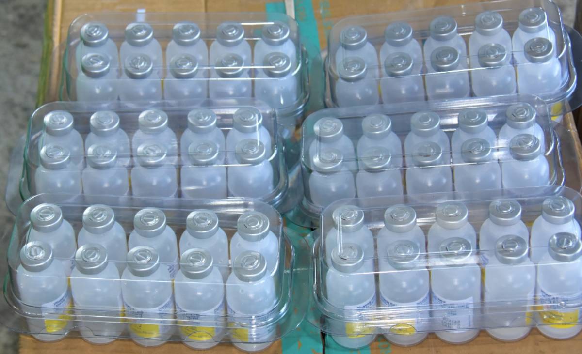 The hog cholera vaccine supply was for animal raisers in Negros Occidental’s cities of Kabankalan and Sipalay, as well as the municipalities of Cauayan, Candoni, Ilog and Hinoba-an. (Negros Occidental provincial government photo)