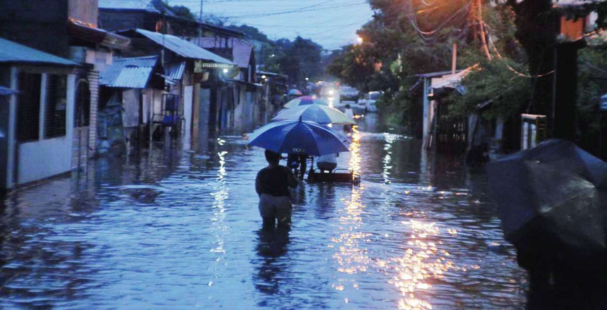 The Bacolod City Health Office recorded 66 leptospirosis cases since January of this year, higher than the 29 cases logged during the same period in 2022. (Bacolod PIO / File photo)