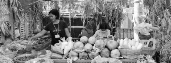 Negros organic producers post P2.7-M sales during 5-day festival