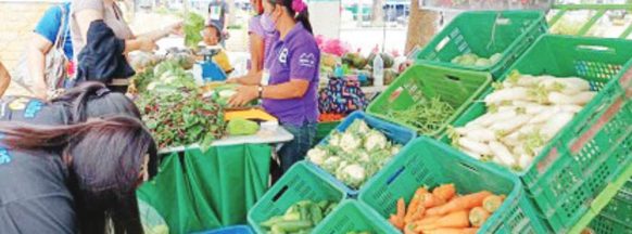 Western Visayas headline inflation in July eases at 4.8%