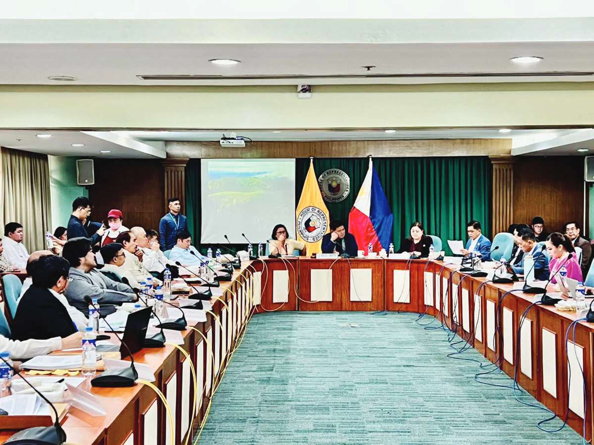 The Committee on Legislative Franchises approves House Bill 9310, which seeks to grant the Negros Electric and Power Corporation (NEPC) a franchise to operate and maintain a power distribution system in Negros Occidental. The move signifies a critical juncture in reshaping the energy landscape in central Negros, with NEPC poised to play a transformative role in the power distribution services.