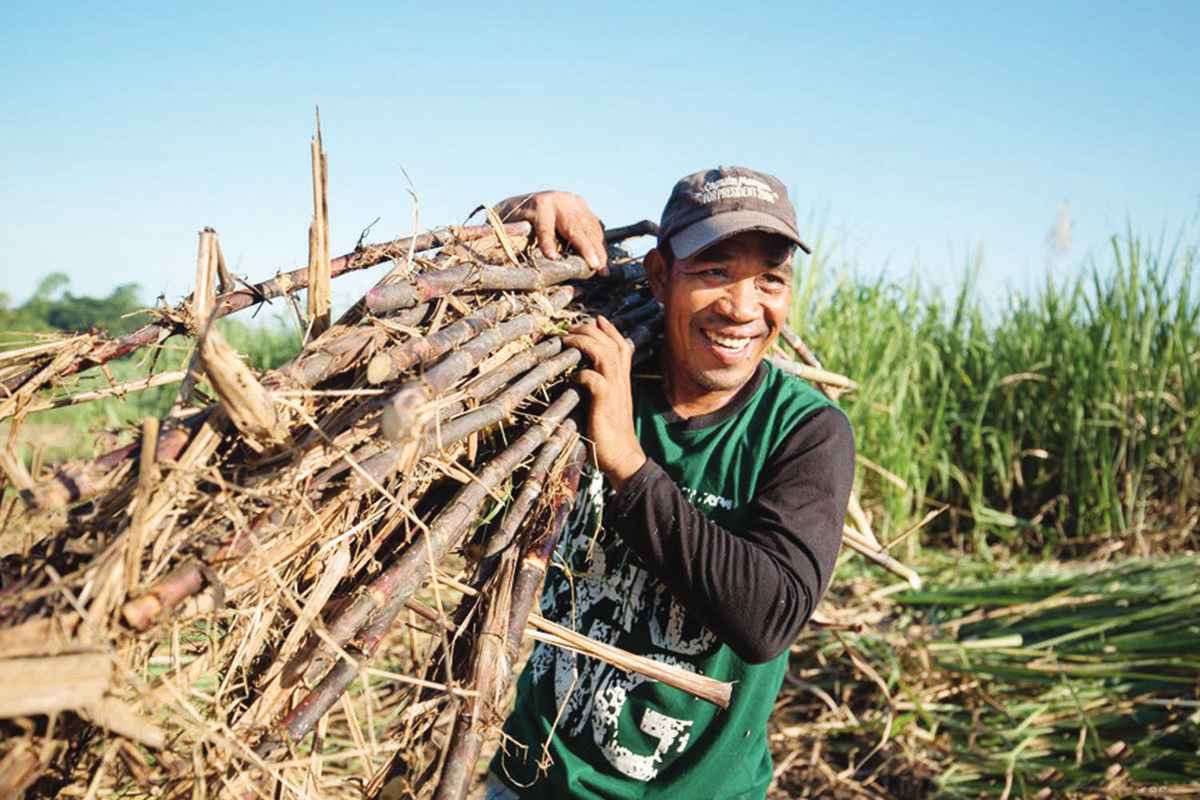 The Sugar Regulatory Administration stressed the importance of unity in finding solutions to improve the conditions of sugar farmers, the crucial link in the sugar supply chain, as collaborative efforts among industry stakeholders will pave the way for positive growth in the industry. (Josh Alibcag / WWF-Philippines photo)