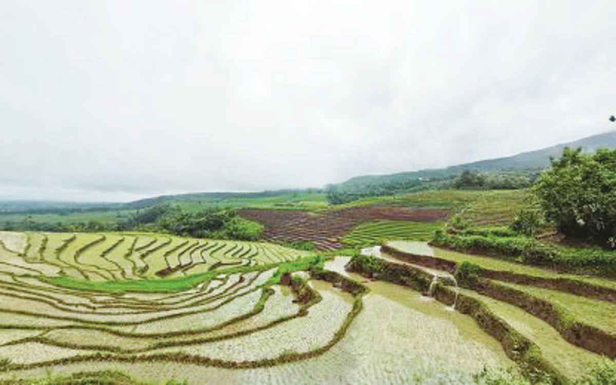 Government agencies, utility firms and other stakeholders have been directed to include rehabilitation and post-El Niño interventions in their respective mitigation and response plans as Negros Oriental braces for an escalation of the ongoing dry spell in the province, a provincial disaster risk reduction official says. (PNA / File photo)