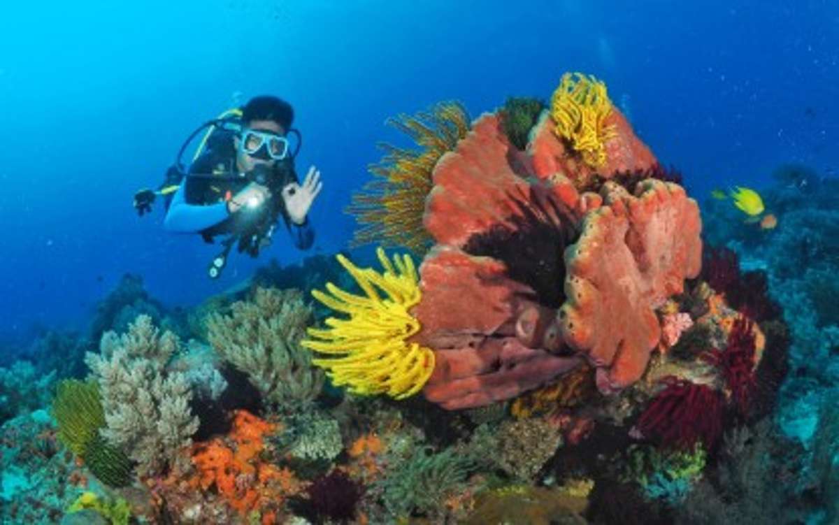 PH 1st scuba diving courses launched in Negros Oriental - Watchmen ...