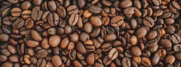 Tourism sector to promote coffee farming in Negros Oriental