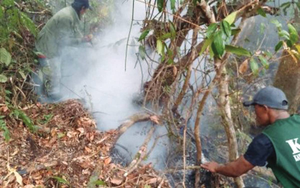 Volunteers from Kanlaon Green Brigade helped suppress the fire that hit a portion of Mt. Kanlaon Natural Park in La Castellana, Negros Occidental from March 14 to 15, 2024. As of yesterday, March 18, the Bureau of Fire Protection continues to investigate the cause of the fire. (Arturo Dumas-og, Jr. /  Kanlaon Green Brigade photo)  