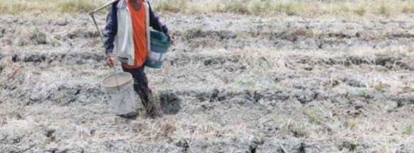 Kabankalan gov’t mulls ‘state of calamity’ due to drought