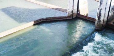A portion of the Bago River Dam, which supplies water to the Bago River Irrigation System (BRIS) in Negros Occidental, in this photo taken in February 2024. The BRIS serves six local government units with a total program area of 10,920 hectares. (NIA-Negros Occidental Irrigation Management Office photo)
