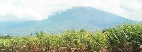 SRA allots P66-M fund for El Niño mitigation measures