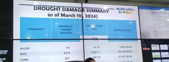 Iloilo to disperse swine to help farmers cope with El NiñoIloilo to disperse swine to help farmers cope with El Niño