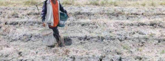 Lacson wants swift aid release for drought-hit farmers