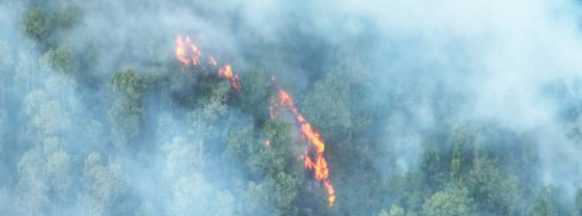 More wildfires reported in Negros Oriental