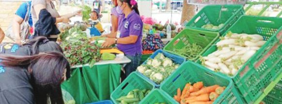 W. Visayas inflation slows down to 3.2% in November