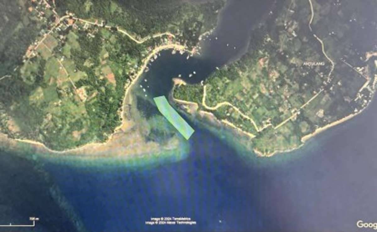 A Google satellite image of the Tambobo Bay. The Marine Conservation Philippines, a non-government organization advocating for the protection and preservation of coastal resources, has volunteered to conduct an underwater survey at Tambobo Bay in Siaton, Negros Oriental, and transplant coral reefs that would be affected by the dredging project. (Screenshot of Google map)