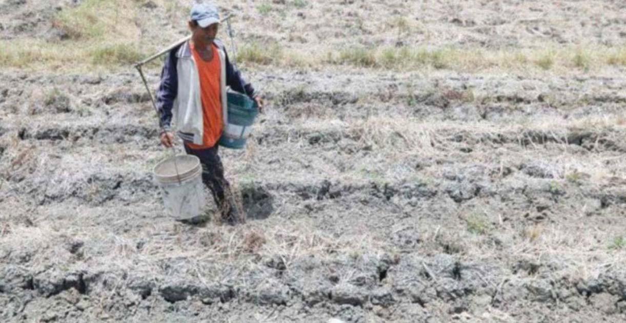 A P10 million financial assistance has been allotted by the Negros Occidental provincial government for farmers affected by drought due to the El Niño phenomenon. (PNA photo)