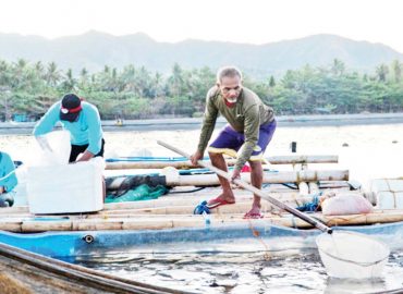 The Southeast Asian Fisheries and Development Center’s Aquaculture Department said an opportunity for aquaculture, particularly milkfish production, should be seized despite the prevailing effects of the El Niño phenomenon. (Seafdec-AQD photo)