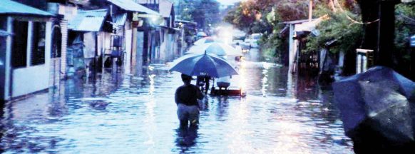 Bacolod City logs 85% decrease in leptospirosis cases