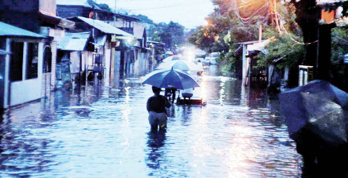 Only seven leptospirosis cases, including two deaths, were reported in Bacolod City from January 1 to June 29, 2024, compared to 48 cases, with five deaths, during the same period last year, data from the City Health Office showed. (Bacolod PIO / File photo)