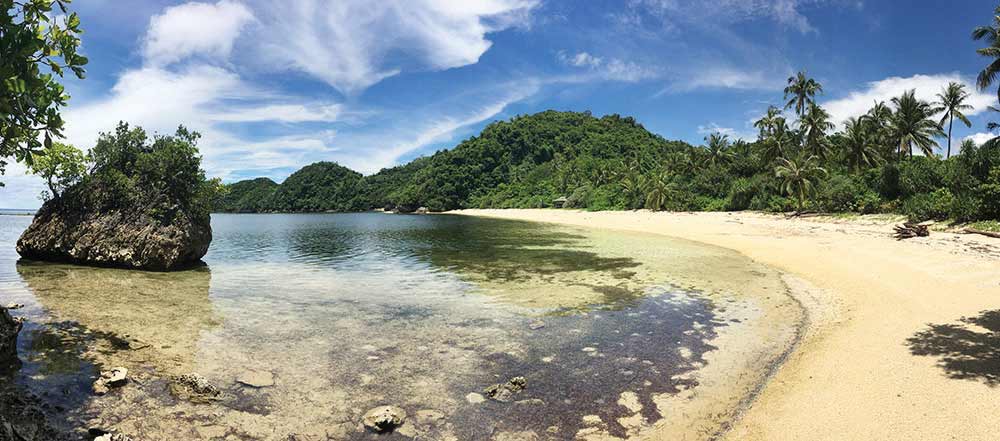 TURTLE BEACH, DANJUGAN ISLAND (freedomwall.net photo)