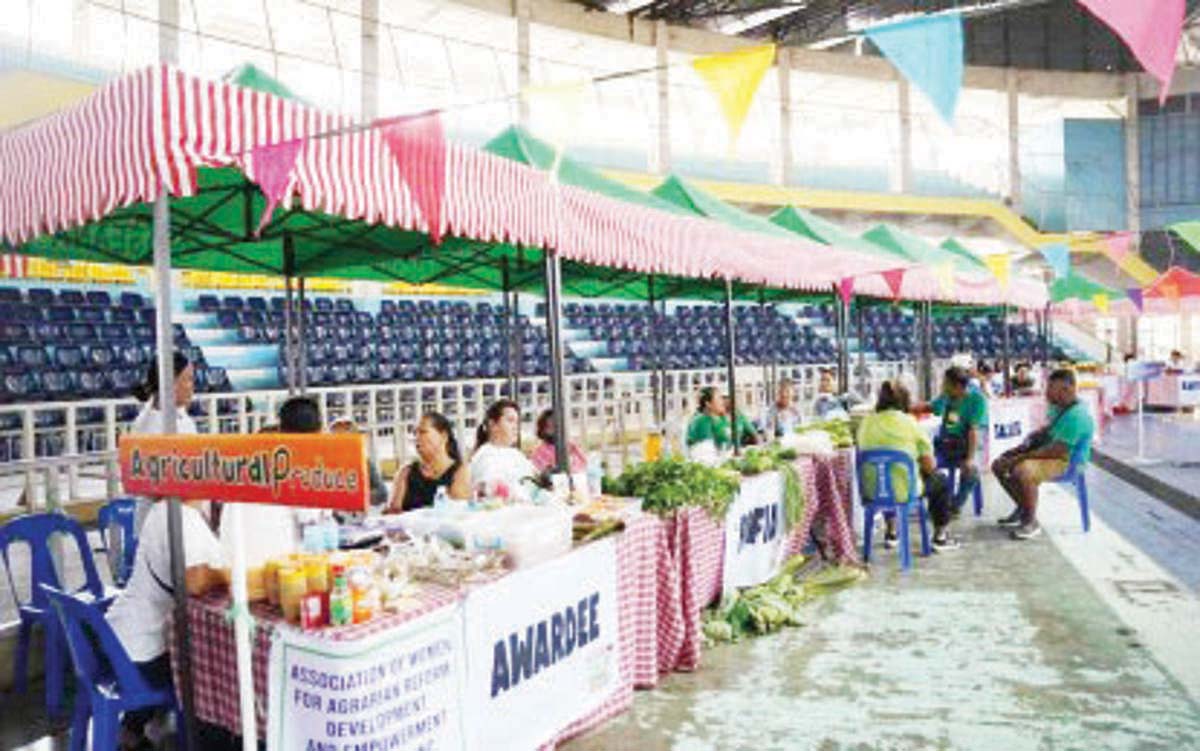 Stalls of farmers and entrepreneurs during the launch of the “Kadiwa ng Pangulo” (KNP) program at the Manuel Y. Torres Memorial Coliseum and Cultural Center in Bago City, Negros Occidental on Thursday, August 15, 2024. It will be followed by the establishment of a regular Kadiwa station at the Marhil covered court in Barangay Poblacion every 15th and 30th of the month starting August 30. (Bago City PIO photo)