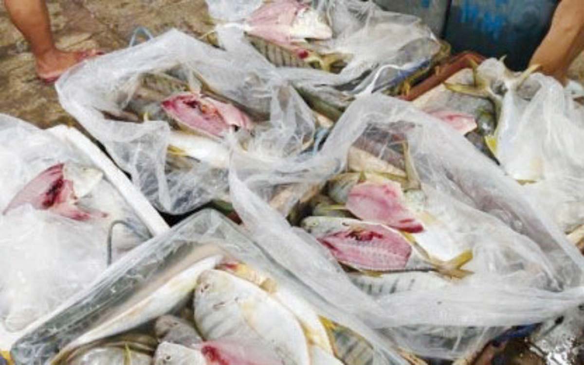 The 180 kilos of illegally caught golden trevally, locally known as “badlon,” worth about P50,000, was intercepted by authorities at the Food Terminal Market of Negros Occidental in Bacolod City on Sunday afternoon, August 11, 2024. The abandoned fish were caught using dynamite, according to a report from the Bureau of Fisheries and Aquatic Resources. (PCG-Northern Negros Occidental photo) 