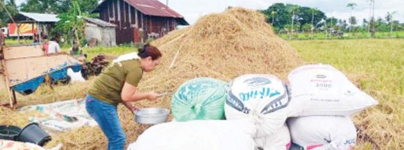 Gov’t program sells rice at P29 per kilo in Negros