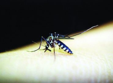 The Department of Health says dengue fever manifests symptoms like severe headache, pain behind the eyes, nausea, vomiting, swollen glands, rashes, and high fever. (PNA / File photo)