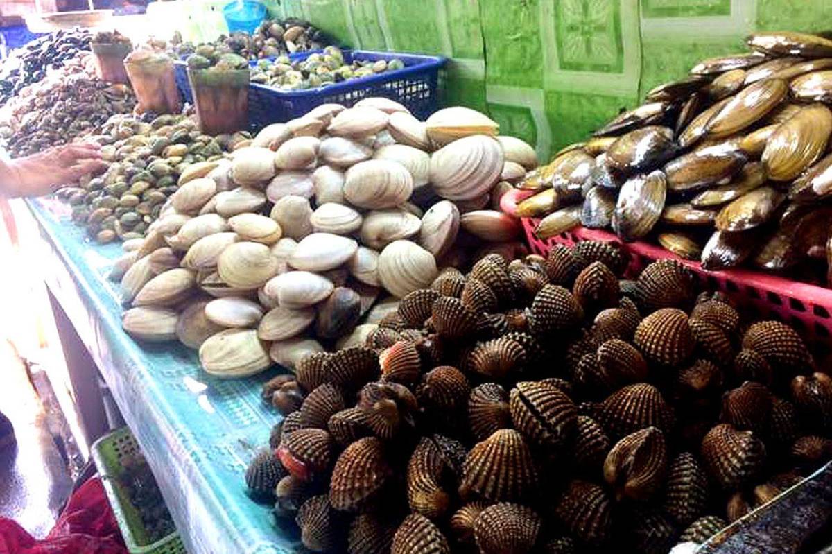 Red tide warning up in Bais Bay in Negros Oriental