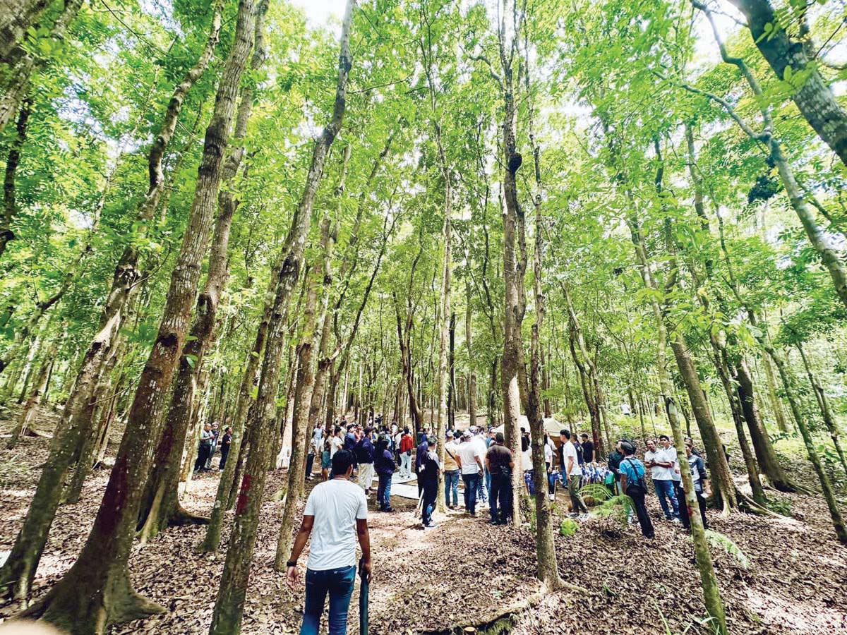 The Bacolod City government unveiled the Bacolod City Tree Park in Barangay Alangilan during a blessing and groundbreaking ceremony yesterday, September 4, 2024. The P47-million project will cover 8.7 hectares, offering a relaxing break for Bacolodnons with its cool air and green surroundings. The project will include facilities such as a picnic and camping area, a children’s playground, and a pavilion building. (Aksyon Radyo Bacolod photo)