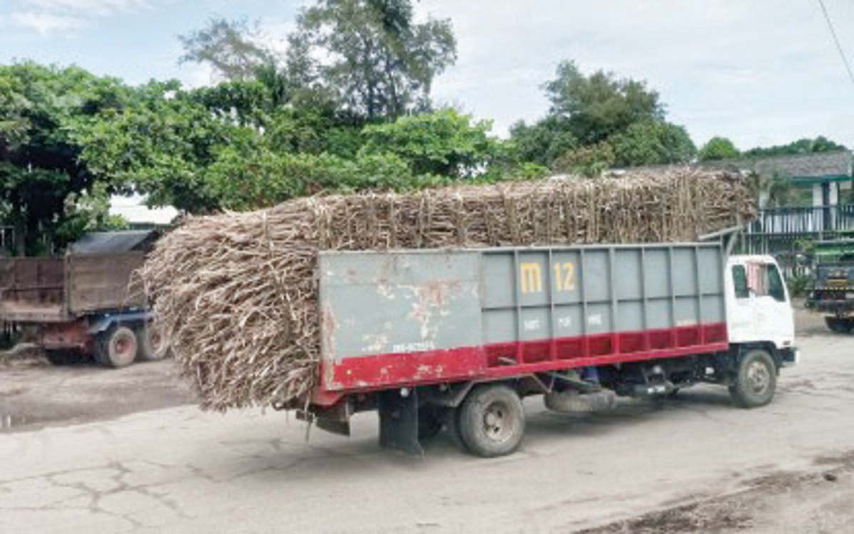 A cane truck on the way to a sugar mill in northern Negros in this file photo. The peak of the sugar milling season is expected to take off between the last week of October 2024 and the first week of November after a slow start in sugar production since September 15, based on the data of the Sugar Regulatory Administration. (PNA Bacolod photo)