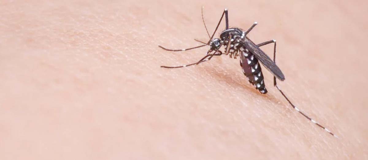 Despite the sharp increase in dengue cases, the total number of deaths remains relatively low, with 16 fatalities recorded, the Negros Occidental Provincial Health Office says. (File photo)