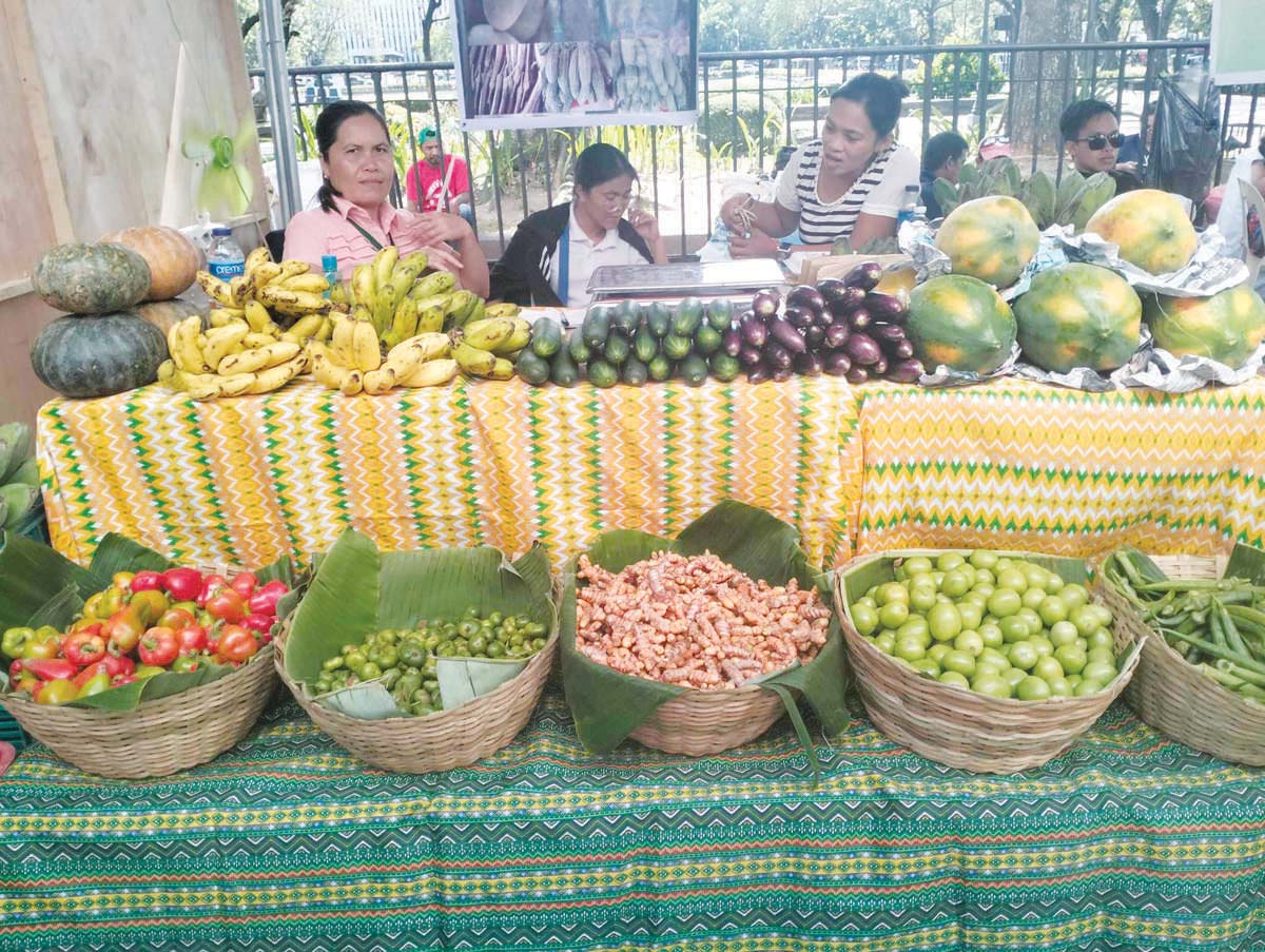 A range of sustainable and organic products was showcased during the opening of the 17th Negros Island Organic Farmers Festival and the 2nd Terra Madre Visayas 2024 at the Negros Occidental Capitol Park and Lagoon in Bacolod City yesterday, November 19, 2024. The festival not only highlights local producers but also encourages dialogue on preserving biodiversity and promoting ecological responsibility. Story on page 2. (Jen Baylon photo)