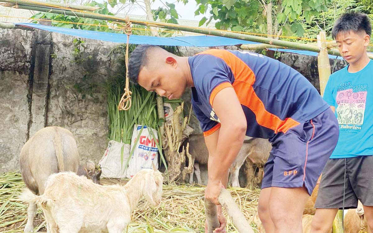 The Bureau of Fire Protection in Negros Occidental’s La Castellana town conducted water rationing at St. Vincent High School, designated as livestock shelter following Kanlaon Volcano’s explosive eruption earlier this month. (BFP - La Castellana photo)