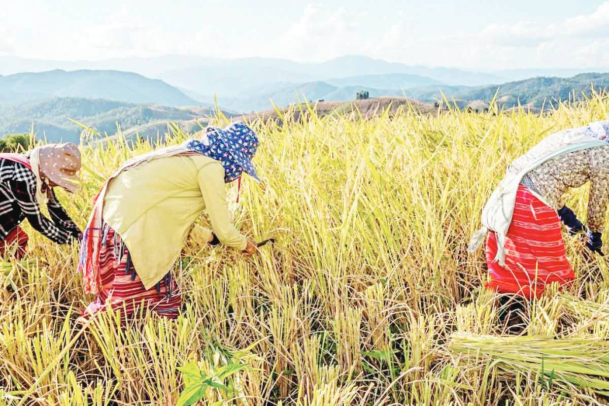 YEAR IN REVIEW; Shaping the future: Stories that define Negros in 2024