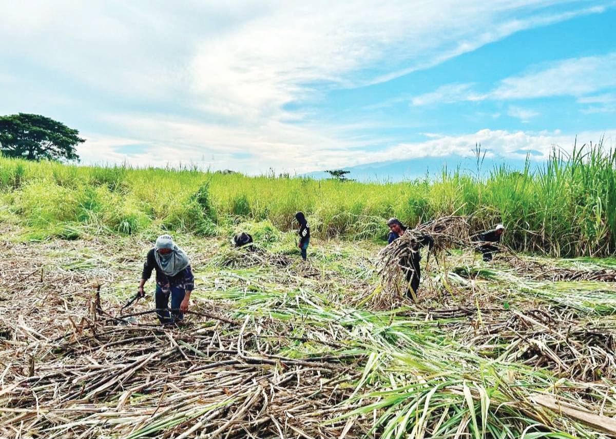 SRA expresses fear over Kanlaon eruption’s impact on local sugar sector