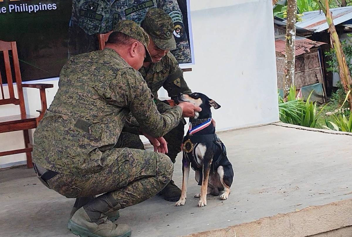 Viscom’s Aspin K9 gets achievement medal for combat operations