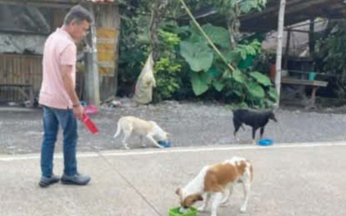 Pet dogs being fed along the road of a community within the six-kilometer danger zone in La Castellana, Negros Occidental earlier this month. After the eruption of Mt. Kanlaon last December 9, 2024, the municipal government created a task force to feed the affected pet animals. (La Castellana LGU photo)