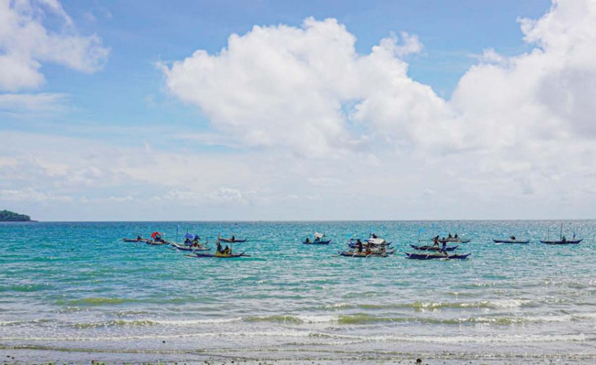 The annual “closed season” for fishing continues to show promising results in ensuring the sustainability of key fish species, particularly sardines, herrings and mackerels, the Bureau of Fisheries and Aquatic Resources says.